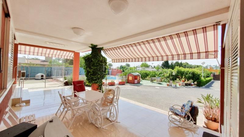 Foto af843b2a-d761-4815-871c-db0f50e19028. Chalet venta chalet, casa invitados, piscina, pista deportiva, huerto, zona hospital elche en Elche / Elx