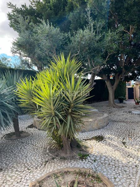 Foto 60cef9ba-c97c-4404-9aba-96da00dc7f84. Chalet with heating parking pool in Perleta - Maitino Elche / Elx