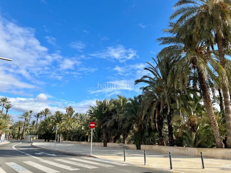 Foto 14ce2506-8bb4-4dd6-ab27-c4577b76aac5. Piano terra in Centro Elche / Elx