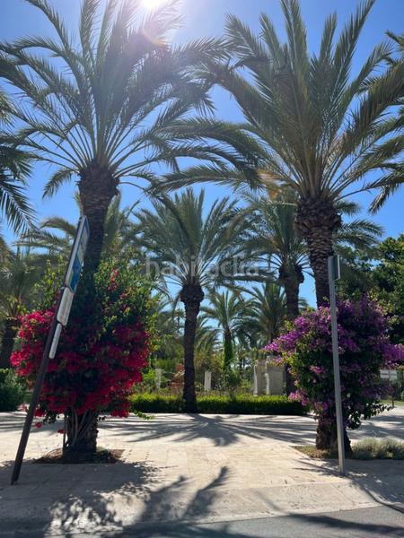 Foto 16e00750-806b-42ea-a684-62bf6dca917f. Piano terra in Centro Elche / Elx