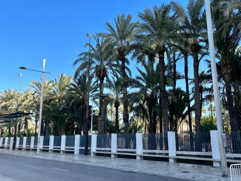 Foto 2765ffb0-c13a-4fff-8207-c342b6e916b7. Piano terra in Centro Elche / Elx