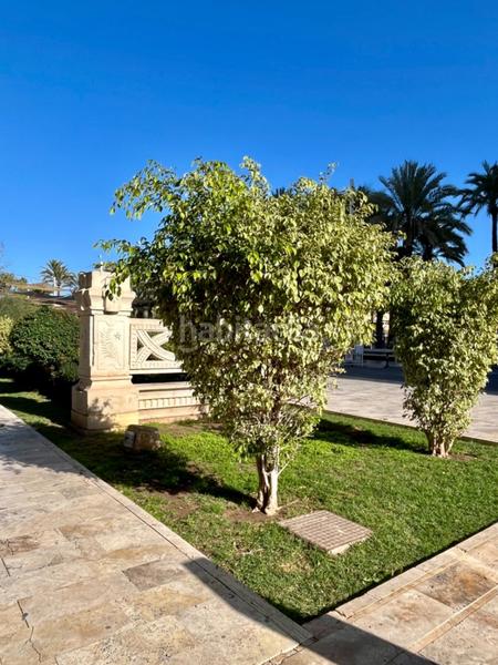 Foto 287ae1cd-7ca9-4a59-8a28-c30e8a0a68ff. Piano terra in Centro Elche / Elx