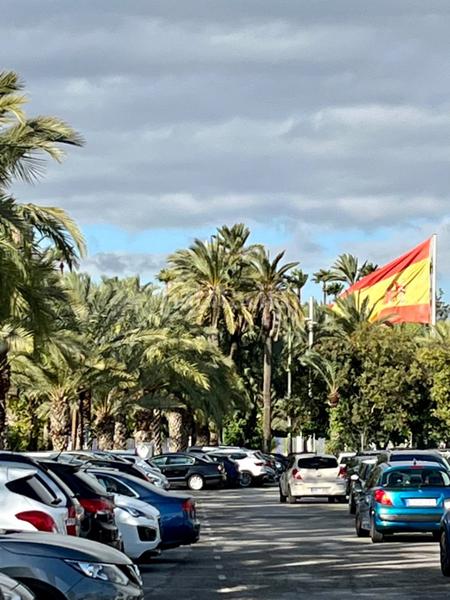 Foto 633f4fb1-4ee7-4984-93e2-2cba2956d1d0. Piano terra in Centro Elche / Elx