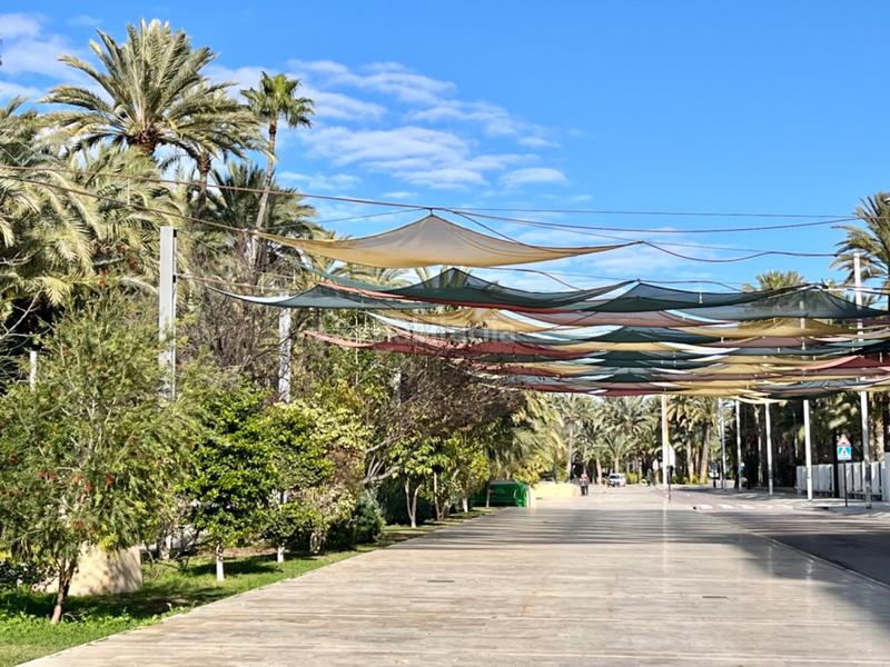 Foto 9c61e705-6bff-4e16-a435-590a9c694599. Piano terra in Centro Elche / Elx