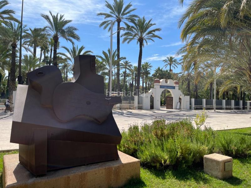 Foto a2dcd961-d9ed-4dfb-bd05-9a6022ab6597. Piano terra in Centro Elche / Elx