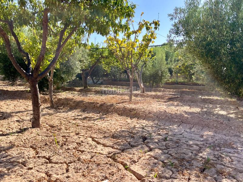 Foto e9514f6a-2f53-4b3f-ab71-d5185a2e8b14. Chalet mit heizung parking pool in Jubalcoi Elche / Elx