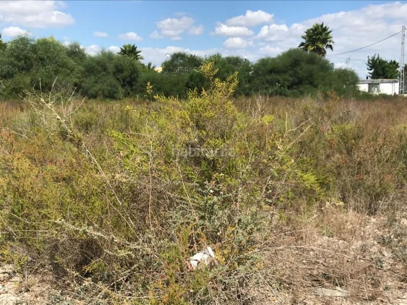 Foto 065f2098-e97f-4d21-b165-e62235d29ec3. Terreno residenziale in La Foia - Daimés - Asprella Elche / Elx