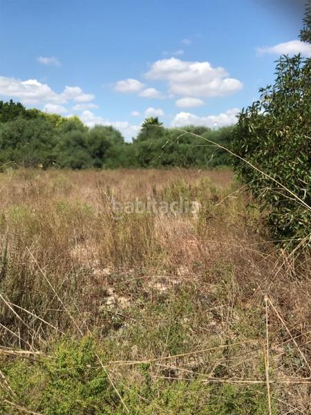 Foto 571accfd-50e0-4545-888e-44f9354c64ae. Terreno residenziale in La Foia - Daimés - Asprella Elche / Elx