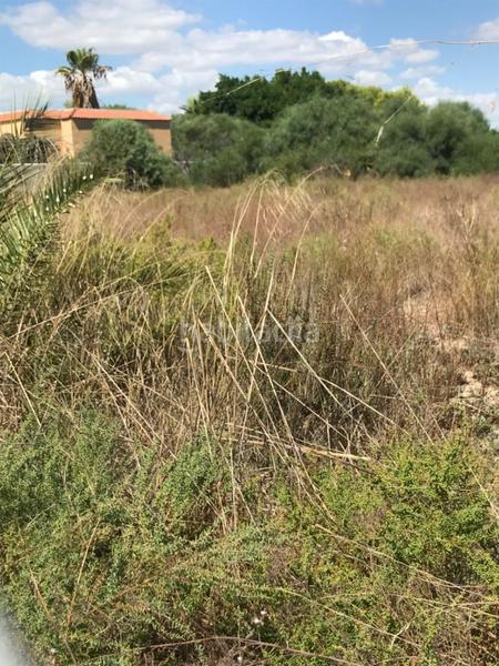 Foto 61d86182-d83e-48ec-95d5-8f707640a496. Terreno residenziale in La Foia - Daimés - Asprella Elche / Elx