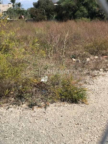 Foto 68cdd9aa-e973-416f-8931-4d24b379ecc4. Terreno residenziale in La Foia - Daimés - Asprella Elche / Elx