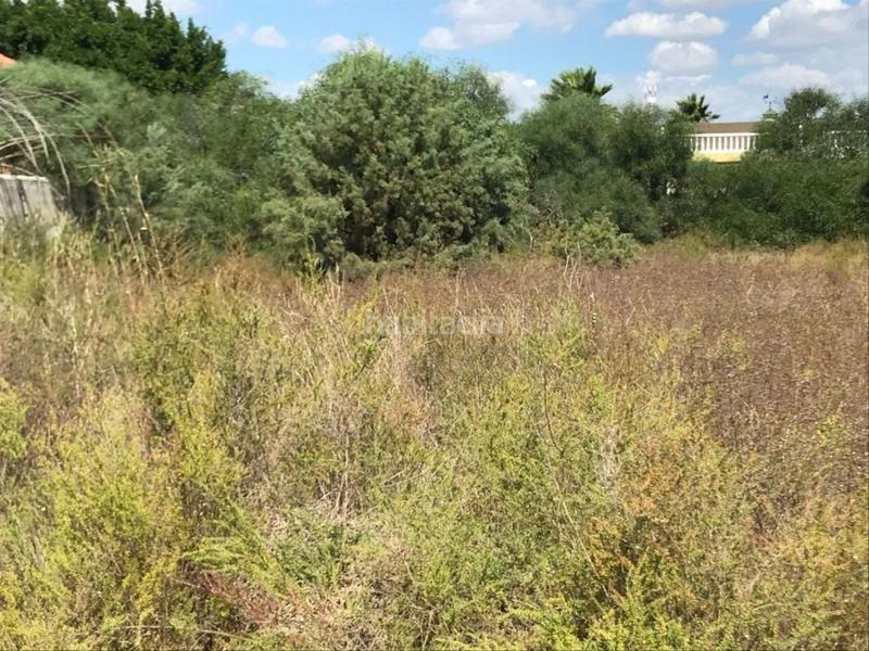 Foto 8c351522-b4e8-4e0c-b481-9c05ba4b7f40. Terreno residenziale in La Foia - Daimés - Asprella Elche / Elx