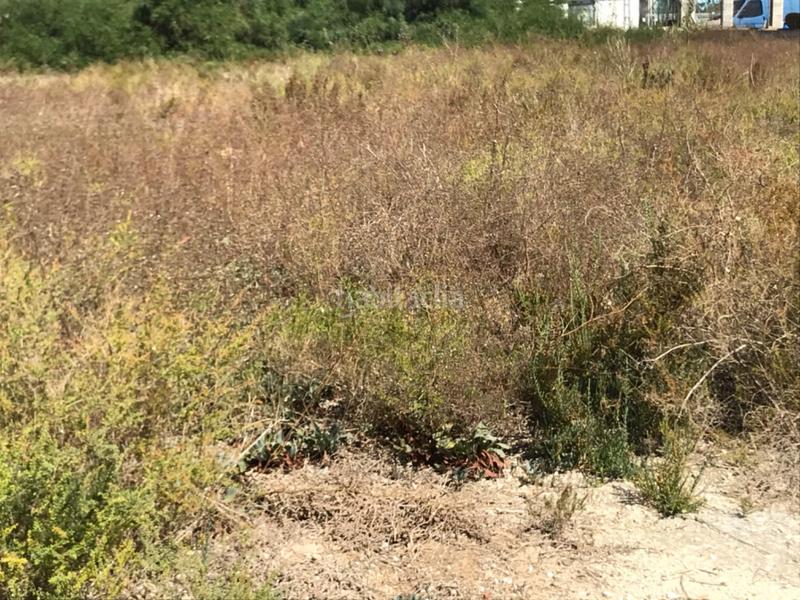 Foto e0d32c82-b2a3-4e27-b6f4-6097aa0219ed. Terreno residenziale in La Foia - Daimés - Asprella Elche / Elx