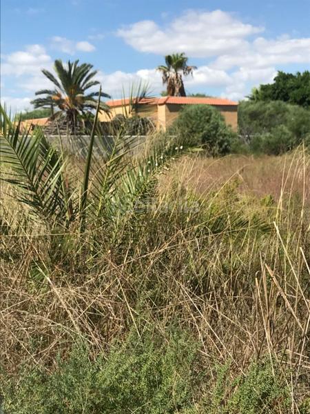 Foto e66f5301-f5d3-4450-878f-888347bc1161. Terreno residenziale in La Foia - Daimés - Asprella Elche / Elx