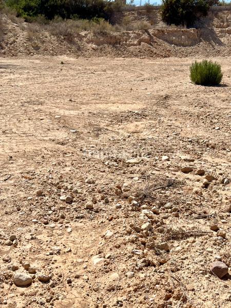 Foto 2b63002e-678c-45b2-92a0-033a8346bcb7. Terreno residencial parcela para construir chalet en Elche / Elx