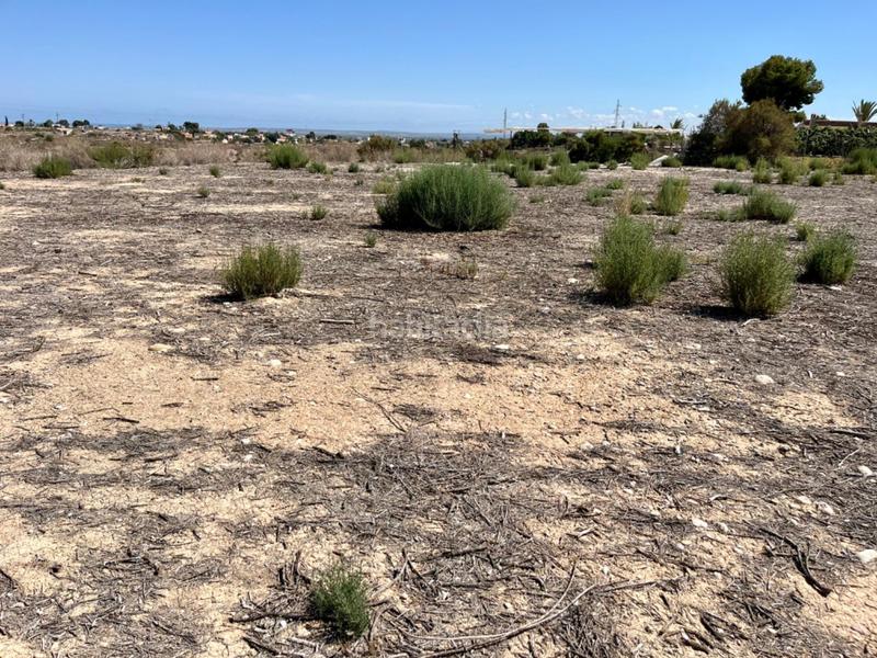 Foto 88e6a532-2220-46ee-a6f0-ee9f1b40fe1f. Terreno residencial parcela para construir chalet en Elche / Elx