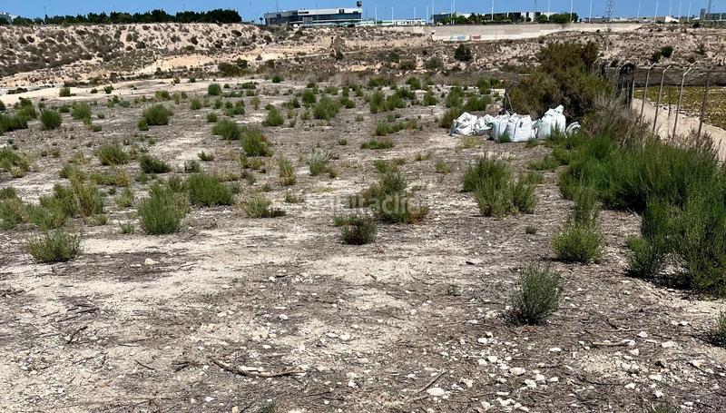 Foto a83ac40c-c71a-4a7f-a5f9-b121b712ea7c. Terreno residencial parcela para construir chalet en Elche / Elx