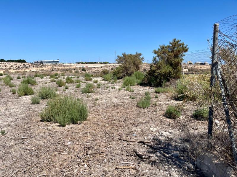 Foto c2cd6df1-fbc1-494c-9800-9a6d528a48cc. Terreno residencial parcela para construir chalet en Elche / Elx