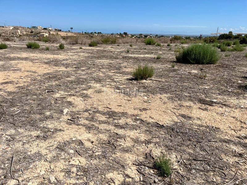 Foto e42ee73e-94e6-487f-a34d-fd0902be8539. Terreno residencial parcela para construir chalet en Elche / Elx