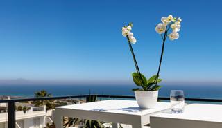 Planta baixa en Monte y Mar. Disfruta del mediterraneo alicantino