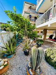 Apartament a Gran Playa. Coqueto piso a 50 metros del mar