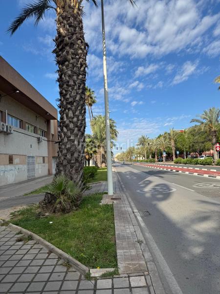 Foto 852daf11-7a03-45e1-969a-7a1377600e3c. Lloguer local comercial a Nou Altabix Elche / Elx