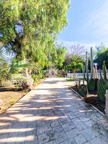 Foto 2910d09b-13b7-4068-a0aa-2b8085e0bb35. Chalet venta chalet urbano con piscina a pocos metros farmacia peña las águilas en Elche / Elx