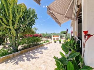 Xalet a La Foia - Daimés - Asprella. Venta chalet esquina, camino asfaltado,1 planta, amplia parcela
