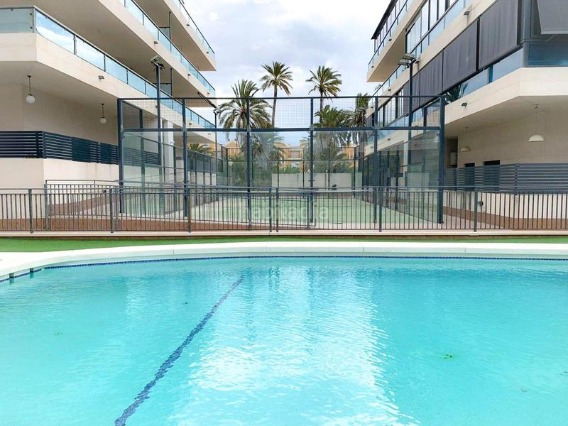 Foto 238f65b6-dab0-45d4-8a7d-6b0a8f1e648e. Planta baja estupenda planta baja esquina, 30m terraza, garaje, trastero, piscina, reformada, campo fútbol en Elche / Elx