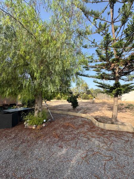 Foto c8d211db-4b9c-489c-9551-837e629de2d4. Xalet amb calefacció aparcament piscina a Valverde Elche / Elx