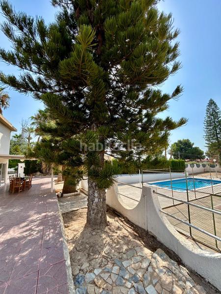 Foto 2e1ad8c2-7d75-4a60-a535-3afcf36d2340. Chalet mit parking pool in Peña de las Águilas Elche / Elx