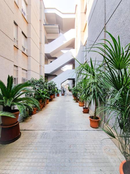 Foto bbe5ce9d-ff22-4282-871f-3fee5d9de78a. Planta baja  totalmente reformada, zona polideportivo carrús en Elche / Elx