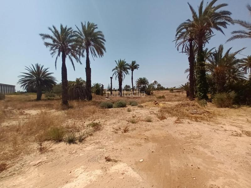 Foto 3ff08902-ddb3-43bb-8c9c-f3efd482b66c. Masía finca rústica en Las Bayas oportunidad de reforma a pocos minutos del mar en Elche / Elx