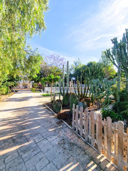 Foto 0bd9196b-b500-4daf-8046-5052322366a4. Chalet con riscaldamento parcheggio piscina in La Algoda - Matola - Llano de San José Elche / Elx