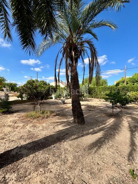Foto 5fe83135-5182-476d-b16b-23b55578e1ec. Chalet con riscaldamento parcheggio piscina in La Algoda - Matola - Llano de San José Elche / Elx
