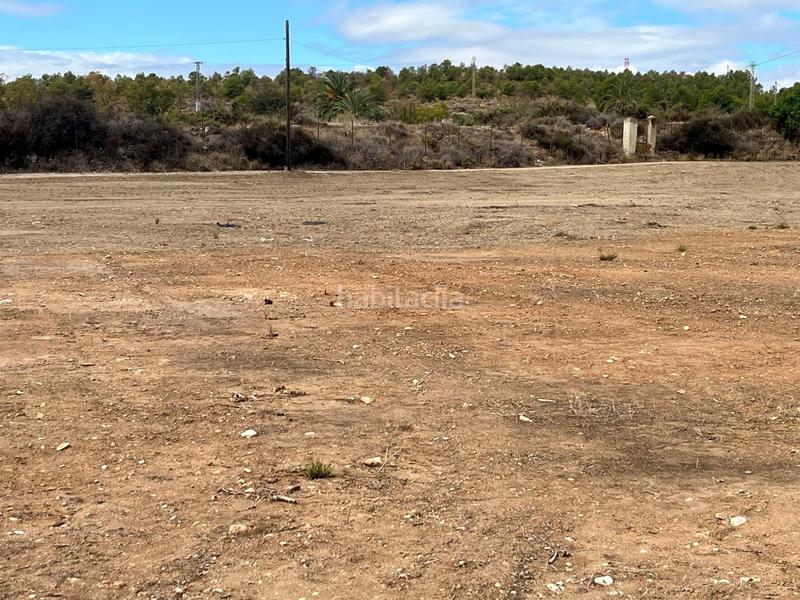 Foto 10a832ca-cef9-4ace-9f68-8e8ead326df6. Terrain résidentiel dans Nou Altabix Elche / Elx