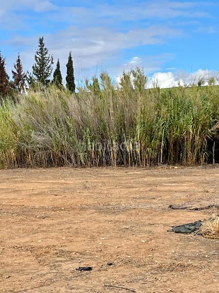 Foto 40b16cb2-8ea7-4c7b-b923-3bf33b7d5f6f. Terrain résidentiel dans Nou Altabix Elche / Elx