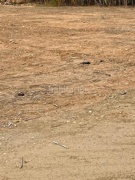 Foto 7bfa242b-d3cd-4d57-a3b8-877965fa655b. Terrain résidentiel dans Nou Altabix Elche / Elx