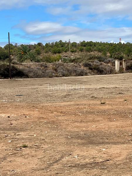 Foto fe57b9a9-5e4a-451f-9447-22fac36a2ae2. Terrain résidentiel dans Nou Altabix Elche / Elx