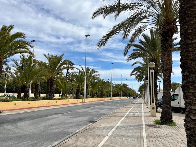 Foto 8dacc8e1-121a-4829-8166-60c8d9083360. Pis a Camí dels Magros - Casablanca Elche / Elx