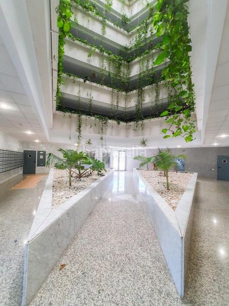 Foto 25ea5334-32b5-43a8-9638-f80917fc7d49. Planta baixa amb calefacció piscina a Ciutat Universitària Elche / Elx