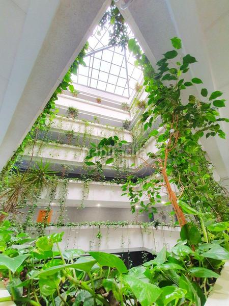 Foto 91a50db5-9146-4ead-bd6a-5cffd2962416. Planta baixa amb calefacció piscina a Ciutat Universitària Elche / Elx