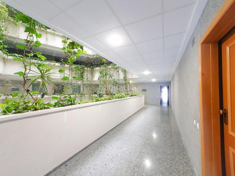 Foto 94183462-325a-45d2-a2f4-874d5bdb3fef. Planta baixa amb calefacció piscina a Ciutat Universitària Elche / Elx