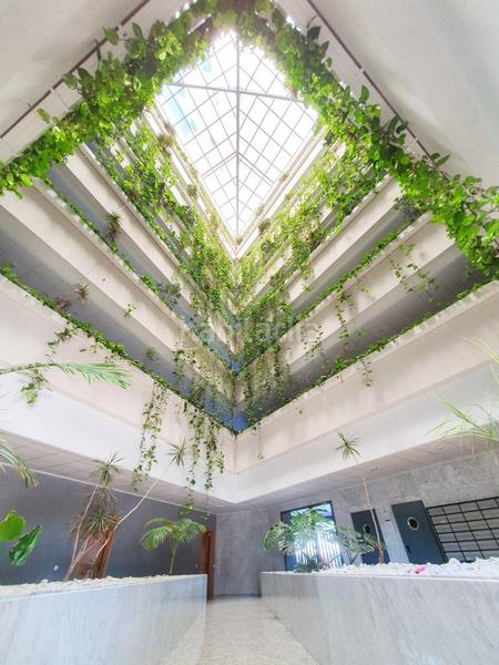 Foto e006499a-59ad-4c11-9065-b89474602a1d. Planta baixa amb calefacció piscina a Ciutat Universitària Elche / Elx