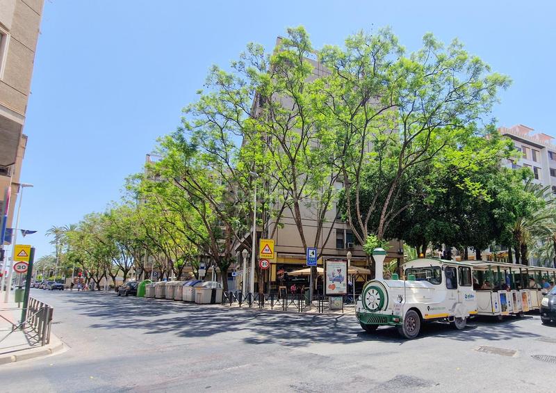 Foto 078522c0-9af0-427a-8942-e9678d4711db. Pis a Centro Elche / Elx