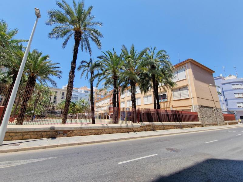 Foto 3f8df001-37c2-42ed-ae79-9ab43a9c46d6. Pis a Centro Elche / Elx