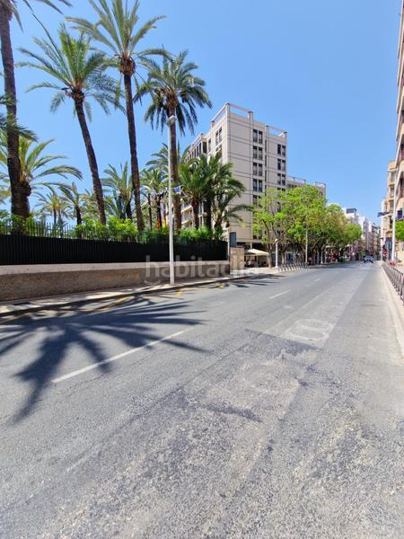 Foto b8b136b3-8cf6-49fa-80c0-b2488f777d6a. Pis a Centro Elche / Elx