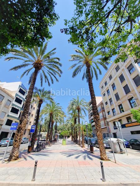 Foto f0a54d1c-1c46-4ff3-8fb9-fa703de993fd. Pis a Centro Elche / Elx