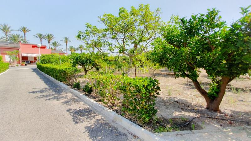 Foto 05eb173d-6365-49e0-b274-ed9f927433f0. Xalet amb calefacció aparcament piscina a Alzabares Elche / Elx