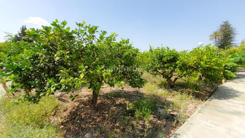 Foto 3f4d07f3-e325-4c8f-ac5f-9d35eda4b868. Xalet amb calefacció aparcament piscina a Alzabares Elche / Elx