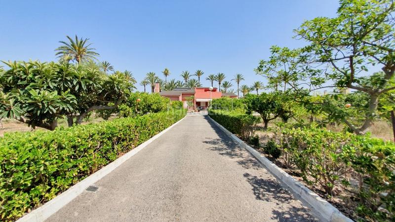 Foto 6a51d59e-4215-49f9-8b17-8a4f9d9d73e0. Xalet amb calefacció aparcament piscina a Alzabares Elche / Elx